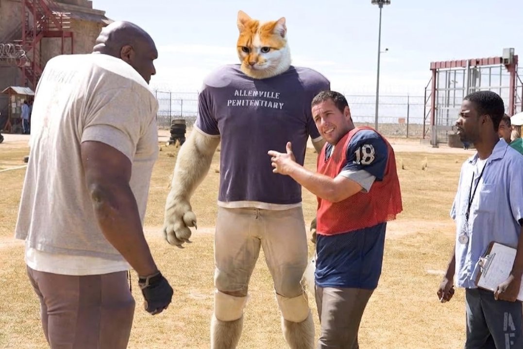 DosCicadas's tweet photo. The Longest (Strongest) Yard 

$GIGACAT just getting started 

@RealGigacatCTO tg: https://t.co/NqxG3dFAoA https://t.co/Cvqqp8dWyE
