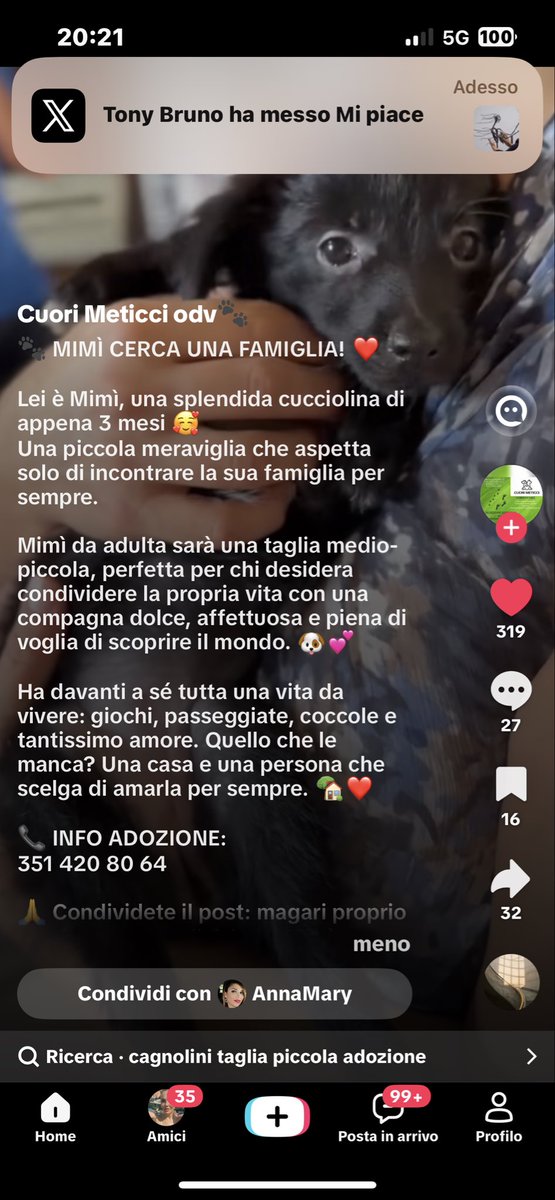 annamariamoscar's tweet photo. 🙏❤️❤️🙏❤️❤️🙏❤️❤️🙏❤️❤️🙏 https://t.co/9Bgbq7NdET