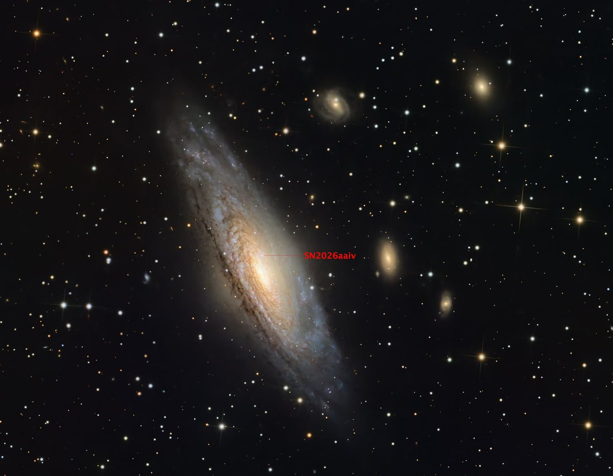 AstroMontseny's tweet photo. IMPRESSIONANT IMATGE DE LA GALÀXIA #NGC7331 amb la supernova #SN2026aaiv. Feta des d'Àger amb el CN212, EQ6 i la ASI2600MC. Aquesta obra d'art del nostre soci Aleix Puig Sitges @aleixpuigsitjes té un temps d'integració total de 14.3 h 🤩👏
Quina fotassa!
https://t.co/vo0hWKmLKy https://t.co/FUmOQIyVBL
