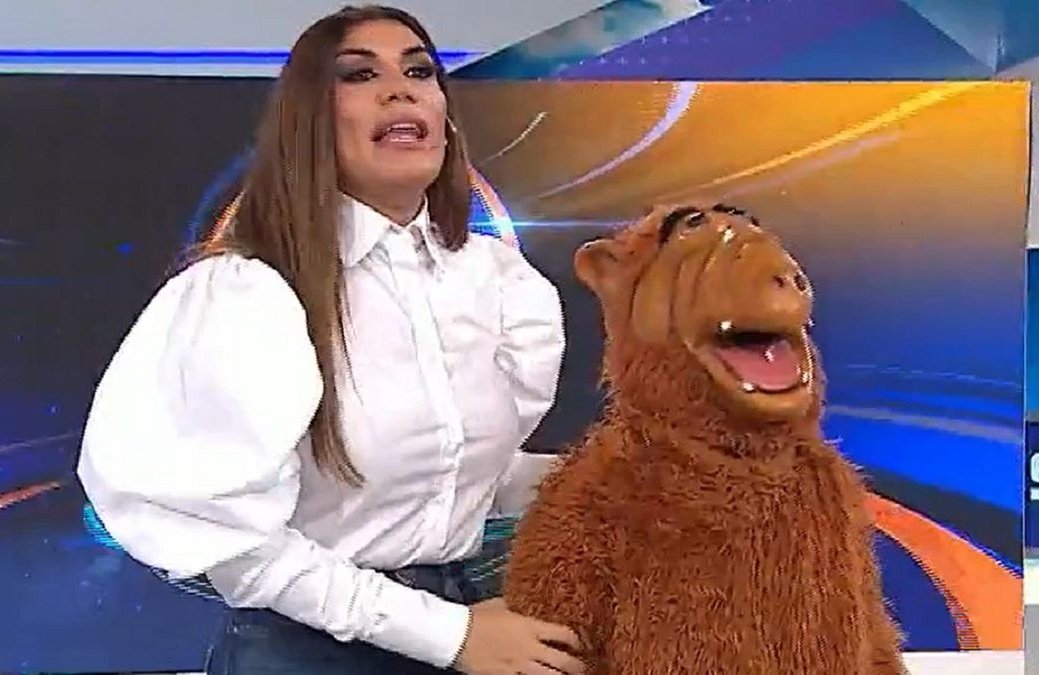 Trumperizar's tweet photo. Profesor: EL EXAMEN SERÁ FÁCIL

El examen: SEÑALE AL QUE ESTÁ DISFRAZADO https://t.co/2KFcsGN6oI