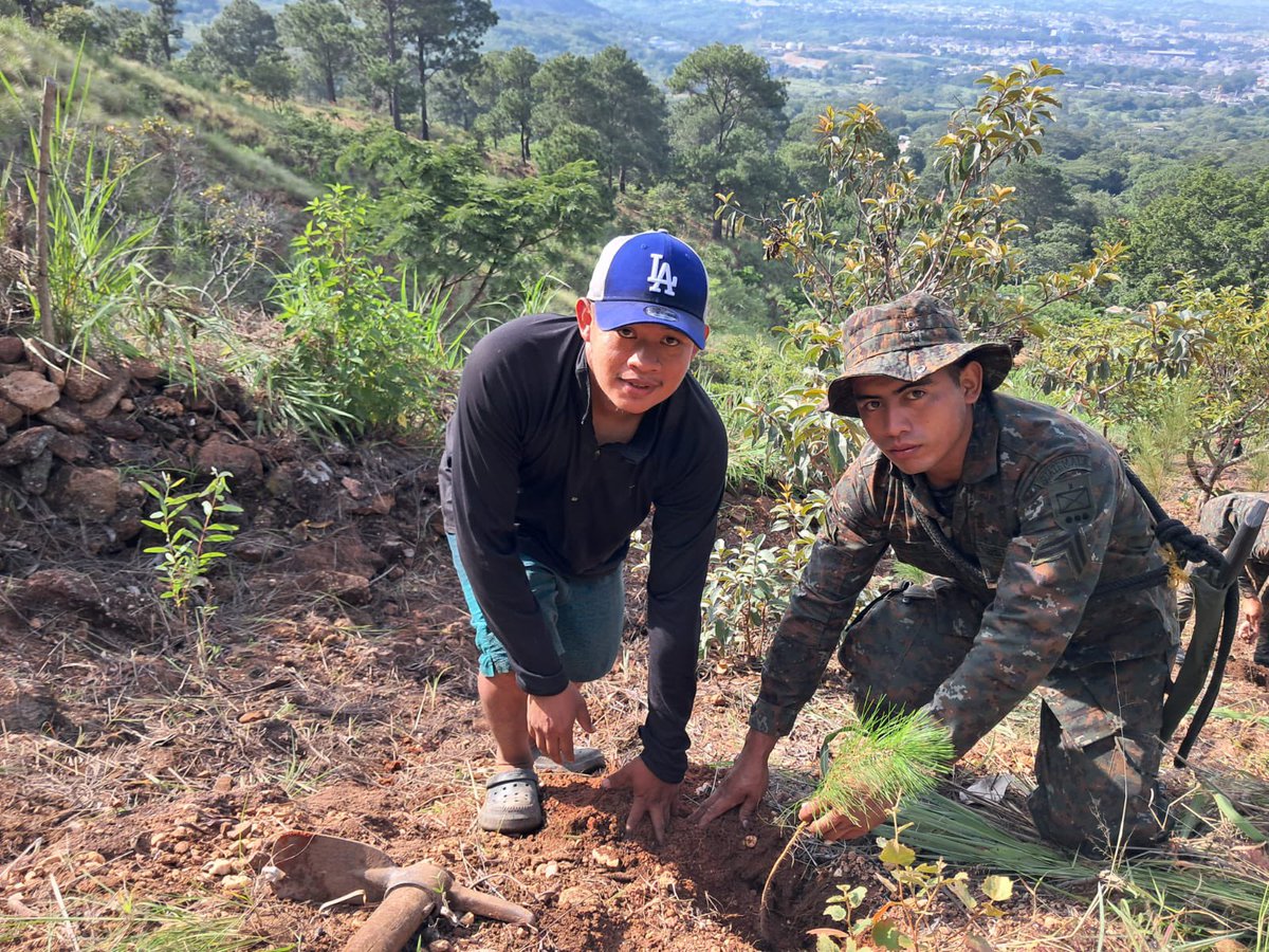 Ejercito_GT's tweet photo. Reforestación para un futuro más verde. 🌎🌳

Tercera Brigada de Infantería “GMAS”, realizó una jornada de reforestación con pobladores  de la aldea Piedras Blancas, #Jutiapa, promoviendo la conservación de los recursos naturales mediante la siembra de árboles.

#EjércitoGT
#EstamosCumpliendo