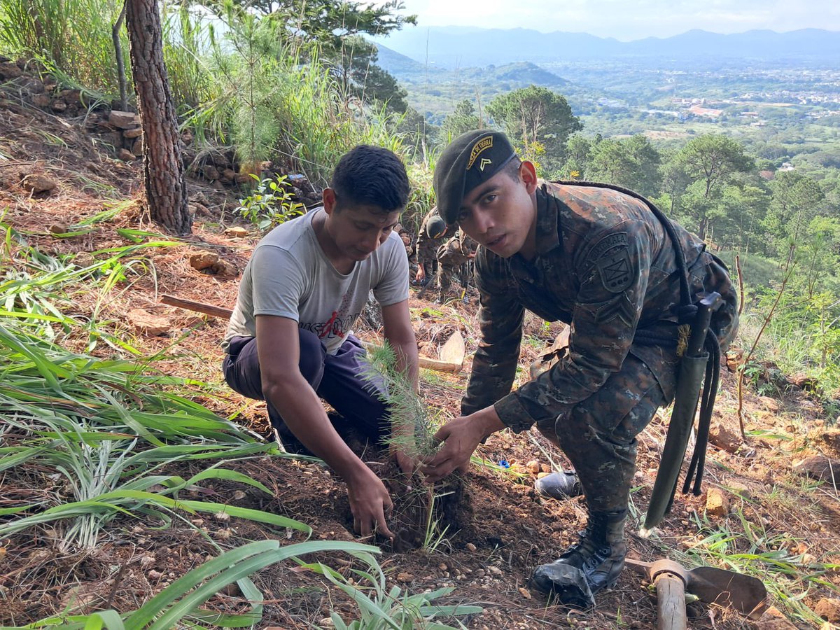 Ejercito_GT's tweet photo. Reforestación para un futuro más verde. 🌎🌳

Tercera Brigada de Infantería “GMAS”, realizó una jornada de reforestación con pobladores  de la aldea Piedras Blancas, #Jutiapa, promoviendo la conservación de los recursos naturales mediante la siembra de árboles.

#EjércitoGT
#EstamosCumpliendo
