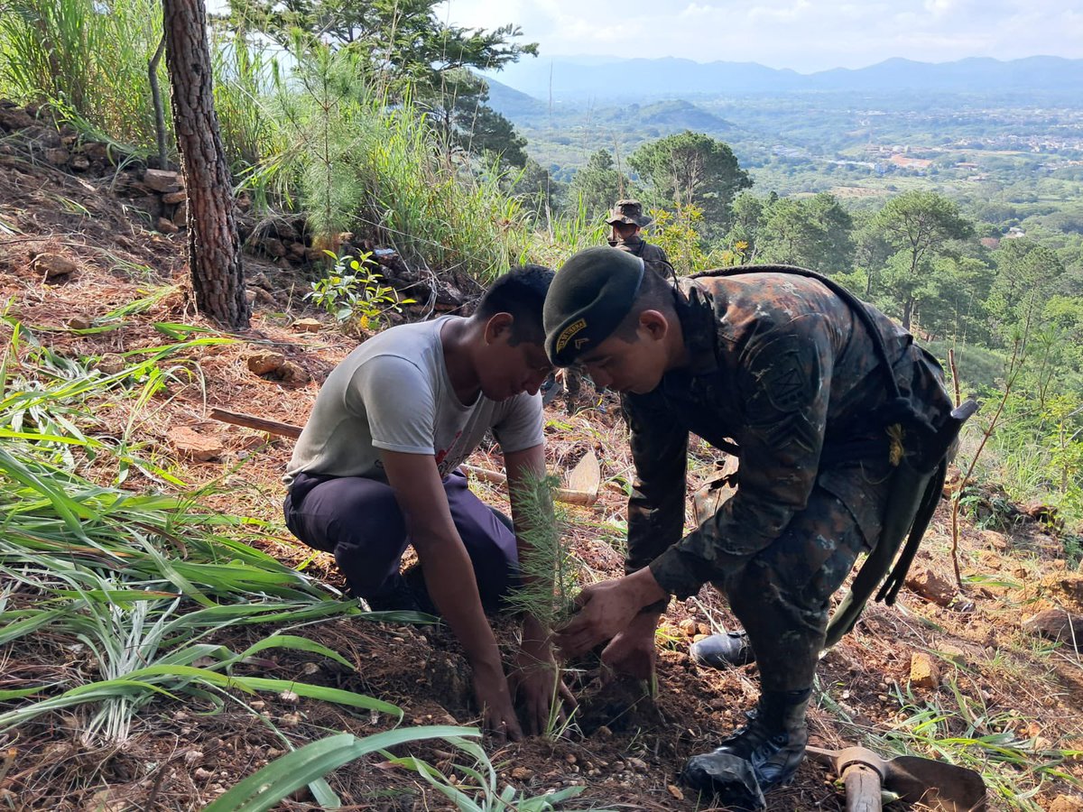 Ejercito_GT's tweet photo. Reforestación para un futuro más verde. 🌎🌳

Tercera Brigada de Infantería “GMAS”, realizó una jornada de reforestación con pobladores  de la aldea Piedras Blancas, #Jutiapa, promoviendo la conservación de los recursos naturales mediante la siembra de árboles.

#EjércitoGT
#EstamosCumpliendo