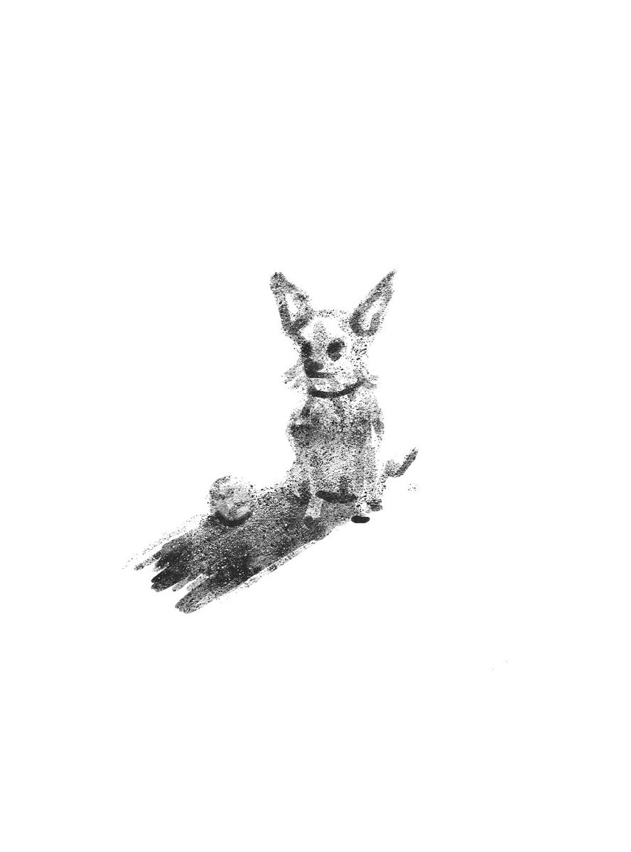 BobWulff's tweet photo. drew dog https://t.co/VOQoM4O7O2