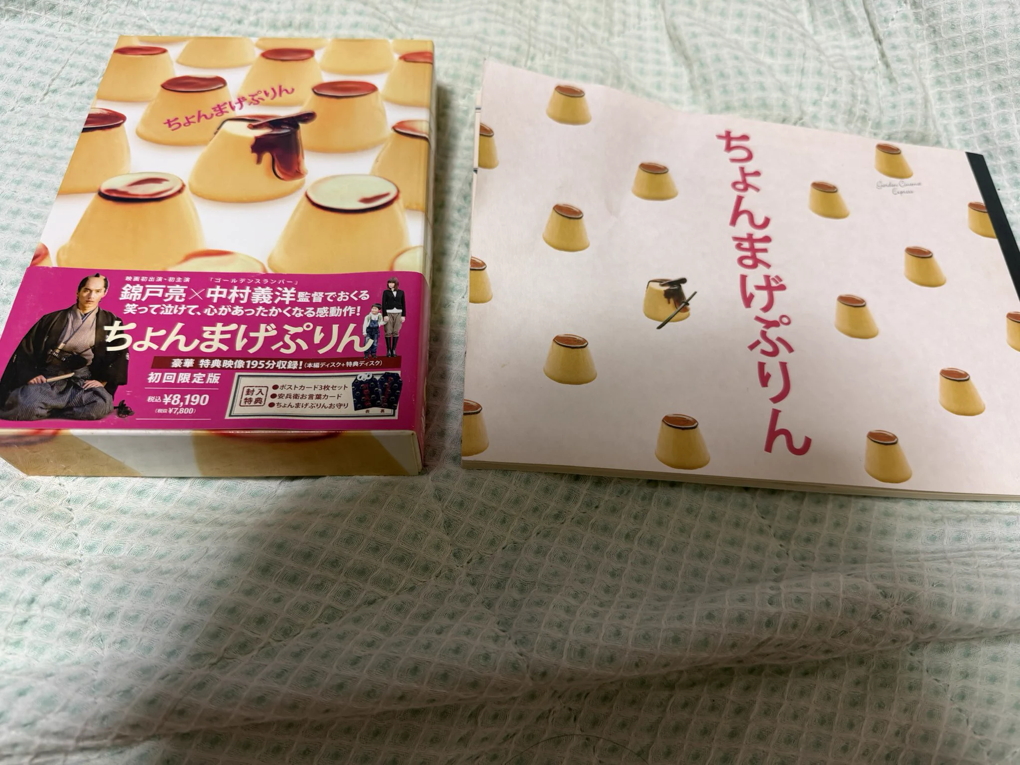 映画　劇場版ちょんまげプリン　パンフレット 花婉昴蕗/社会福祉などをよく書くWebライター on X: 