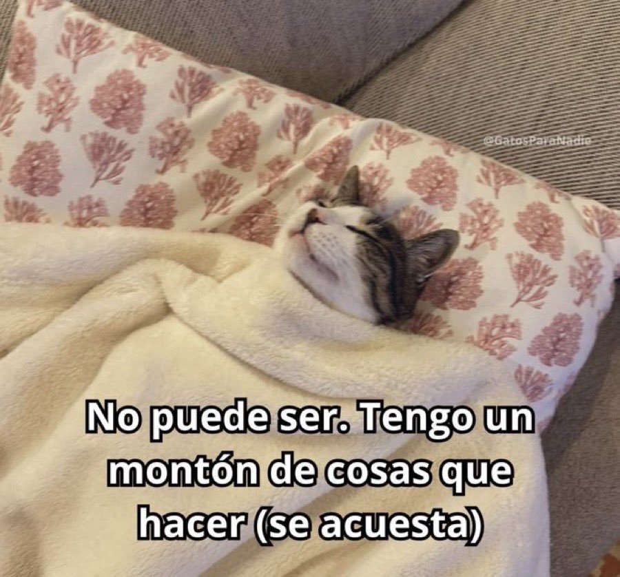cyaaaaaaa___'s tweet photo. https://t.co/8BDUARN4GC