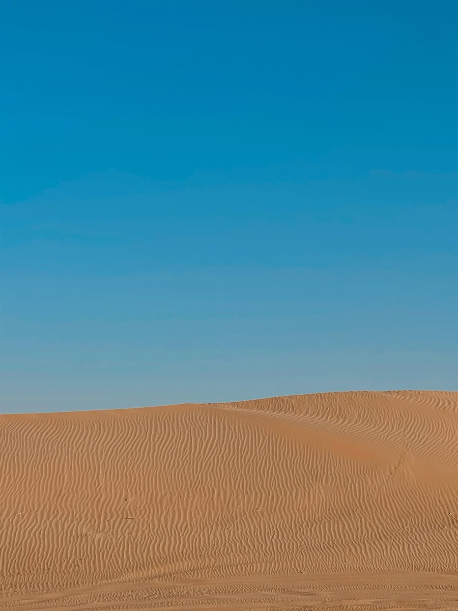 jasmin_arndtt's tweet photo. 🇦🇪🐫🌞 https://t.co/27ja3tkvSv