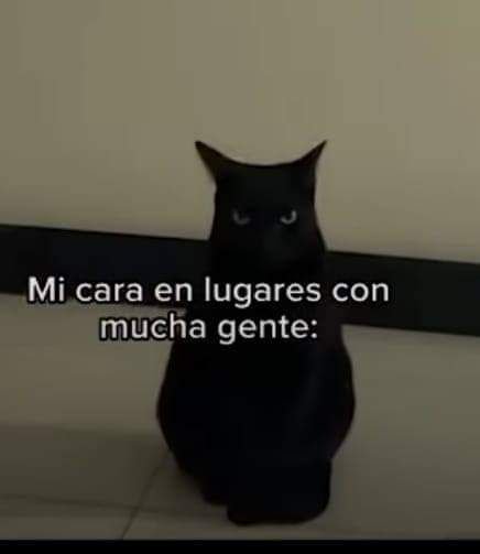 DeryaRamirez's tweet photo. https://t.co/7BSJcStt9Q