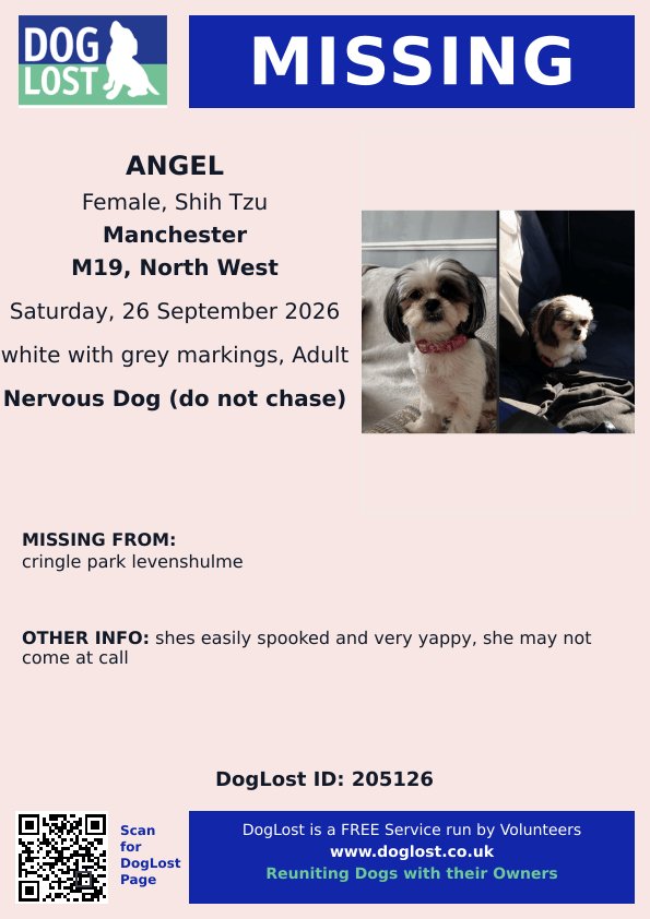 MissingPetsGB's tweet photo. 🐕‍🦺 ANGEL #shihtzu #missing since 26 September 2026
Cringle Fields #Levenshulme area #Manchester #M19
She went #missing while on a walk
Angel is MICROCHIPPED, please contact asap if seen
https://t.co/xVE2SHlKtV
 #stolendoghour https://t.co/XDexAiSBdL