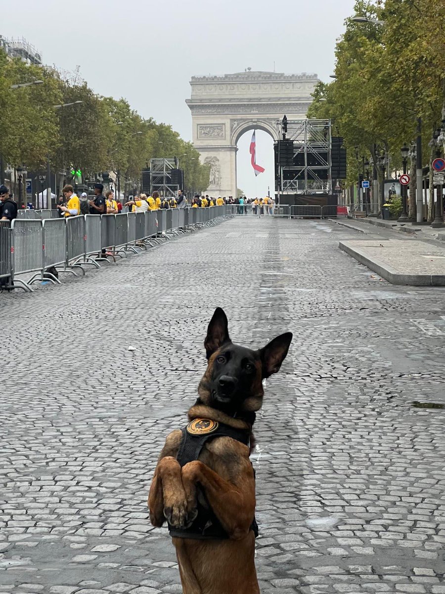 Gendarmerie's tweet photo. #PapeEnFrance 🇫🇷 Merci à nos camarades de la 
@guardiacivil 🇪🇸 pour avoir concouru à la sécurisation de la visite du Pape à Paris.
Et oui, merci à toi aussi Alfoz, membre de leur équipe cynophile ! 🐶
📸 @guardiacivil https://t.co/mPOZGONwVn