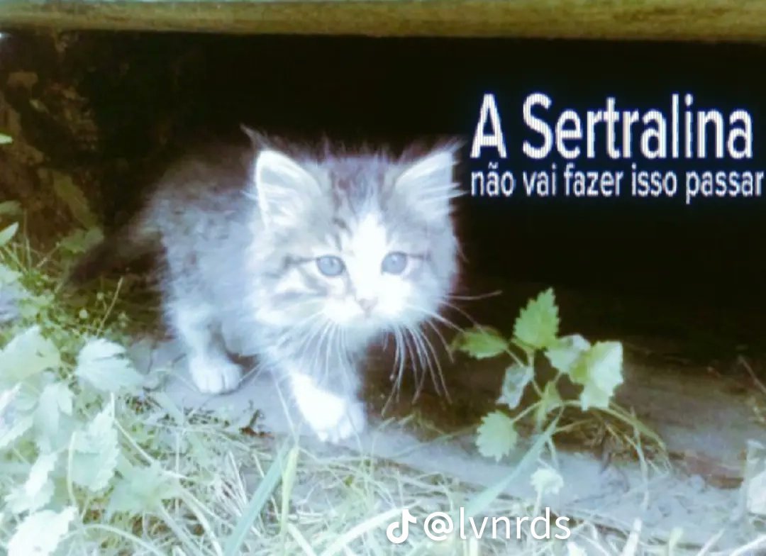 Sertralinastan's tweet photo. https://t.co/vDNFym5xQs