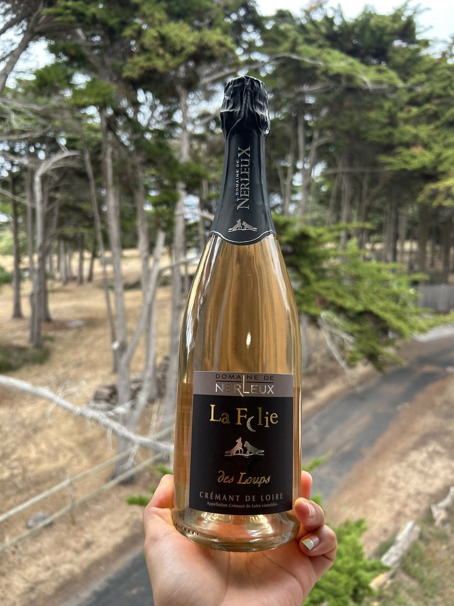 CoraRuizA's tweet photo. El mousse de chocolate, el vinito después de este laaaarrgooo día de trabajo, y la racha de 200 días en Duolingo, c’est tres magnific 🤌🧣 https://t.co/oNL6tv2BqH