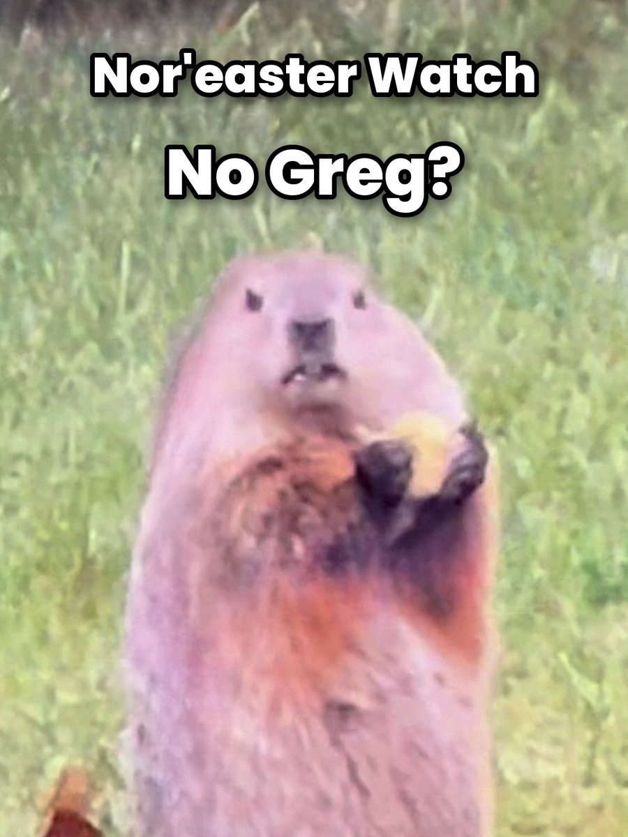 GregoryDaGopher tweet picture