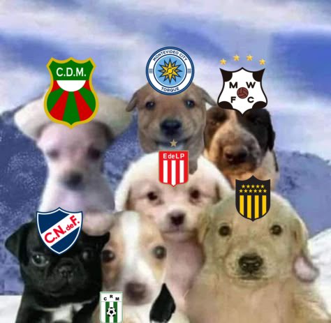 Fran_marchessi's tweet photo. Chiqui Tapia nos odia

La solución:
#EDLPaAUF https://t.co/I8kf8oHiIp