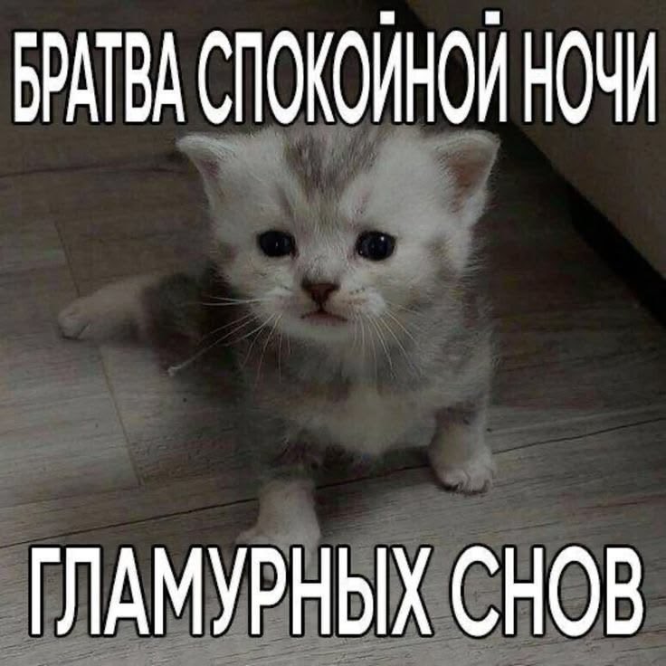 tanyghkw's tweet photo. ладно, на сегодня я всё. пора исчезать до завтра https://t.co/a4gaslqofC