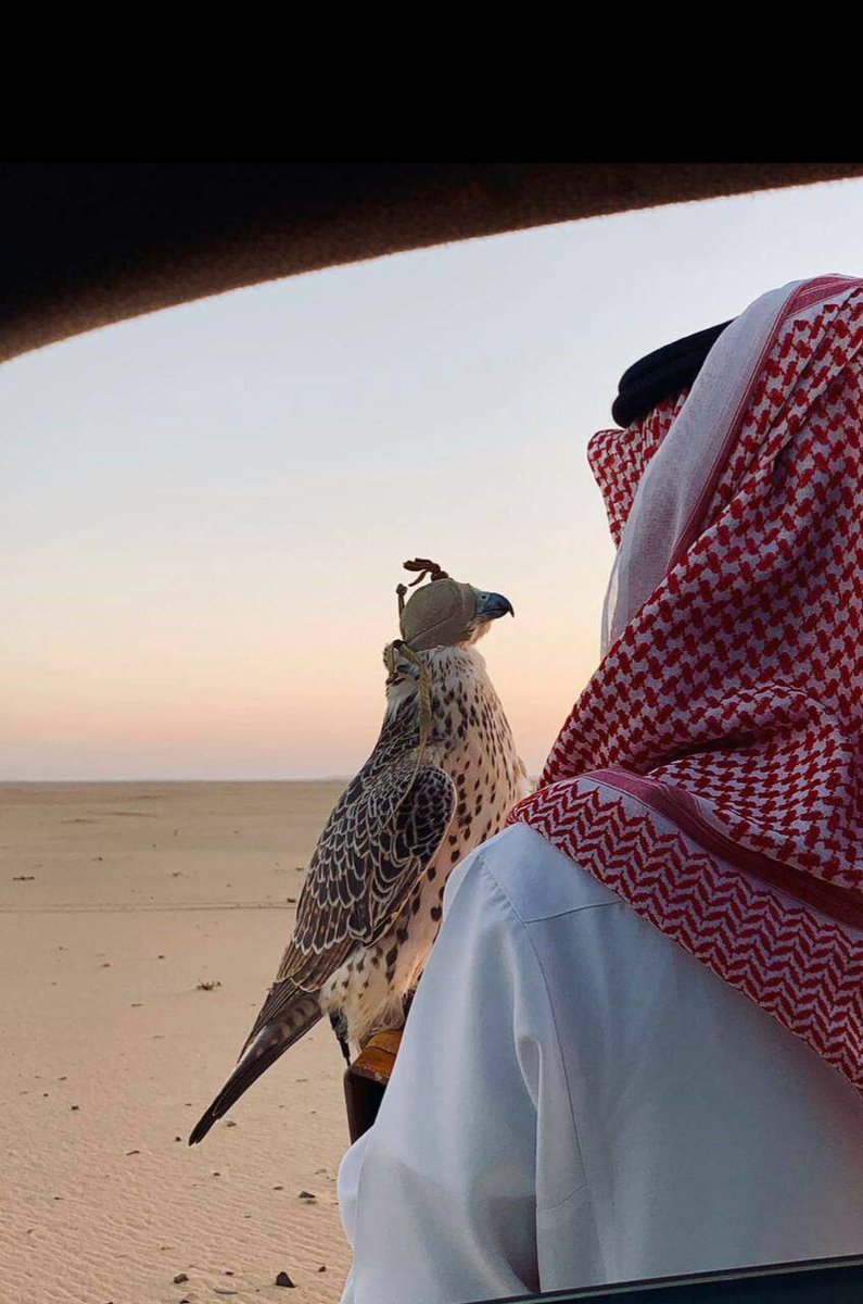 RAlklm86984's tweet photo. /
🍃
/
🍃

وأعرف  أن  المسافه  طالت 
طالت الى أن نسيت الطريق
.. عمومًا أنت من أعز العابرين

#علمني_بمشاعر_هالوقت https://t.co/omBsWDBZAB