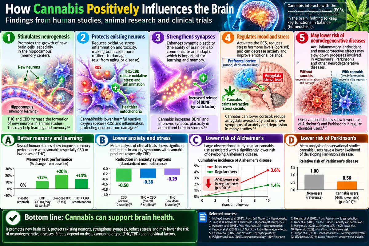sceptic2022's tweet photo. @PoppotNewYork Tobacco and alcohol could be fully replaced, by some not-stinky cannabis products. Do you still enjoy cigarettes and beer? https://t.co/bG9UZOYPwr