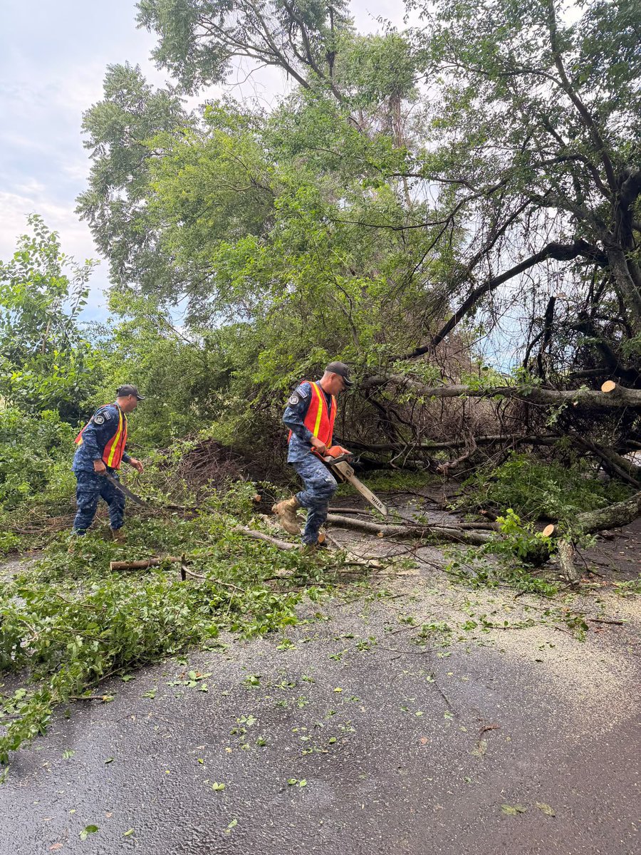FUERZARMADASV's tweet photo. Nuestros soldados trabajaron en la remoción de un árbol caído que obstruía el paso en la calle hacia Playa Las Hojas, a la altura del kilómetro 45, San Luis Talpa, La Paz Oeste. https://t.co/mYCCu83cSV