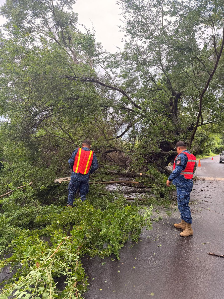 FUERZARMADASV's tweet photo. Nuestros soldados trabajaron en la remoción de un árbol caído que obstruía el paso en la calle hacia Playa Las Hojas, a la altura del kilómetro 45, San Luis Talpa, La Paz Oeste. https://t.co/mYCCu83cSV