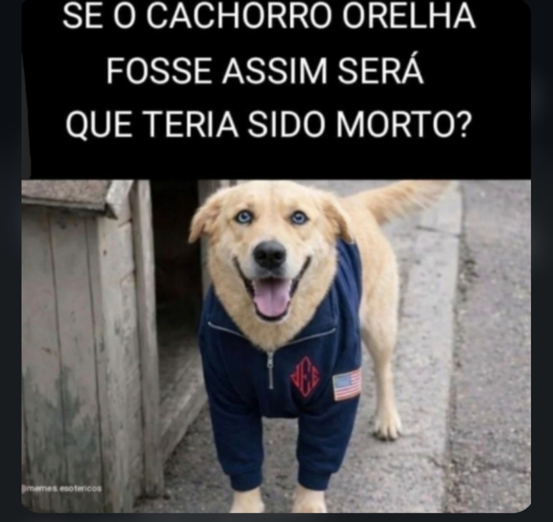 krowned12's tweet photo. ? https://t.co/KAdlsmkSbL