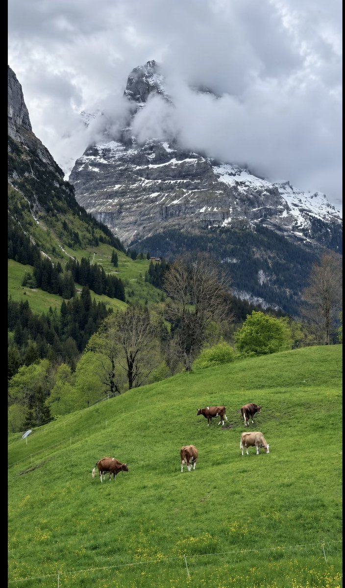 _2aol's tweet photo. Sep 2026
🇨🇭 https://t.co/6vuFOYRQYr