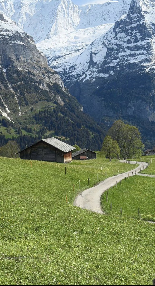 _2aol's tweet photo. Sep 2026
🇨🇭 https://t.co/6vuFOYRQYr