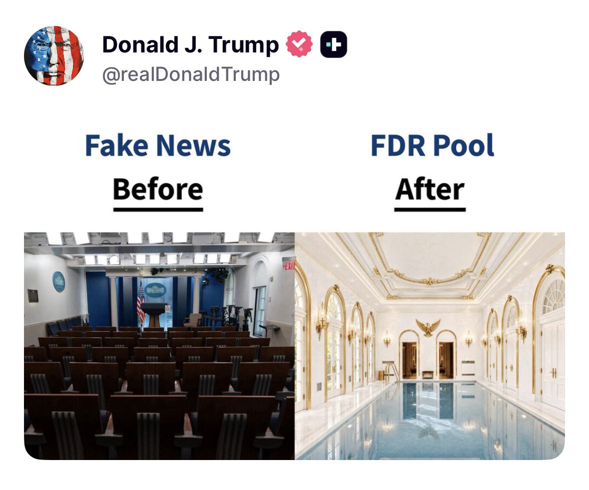 johnnymaga's tweet photo. Omg he’s going to dig up the pool. 😭 https://t.co/kS1CL22fIx