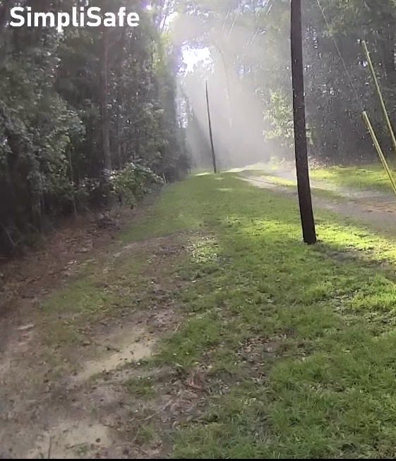 reddog94's tweet photo. @2fluffy2furious No road. I don’t go much 
But my driveway https://t.co/EVm6LqppxN