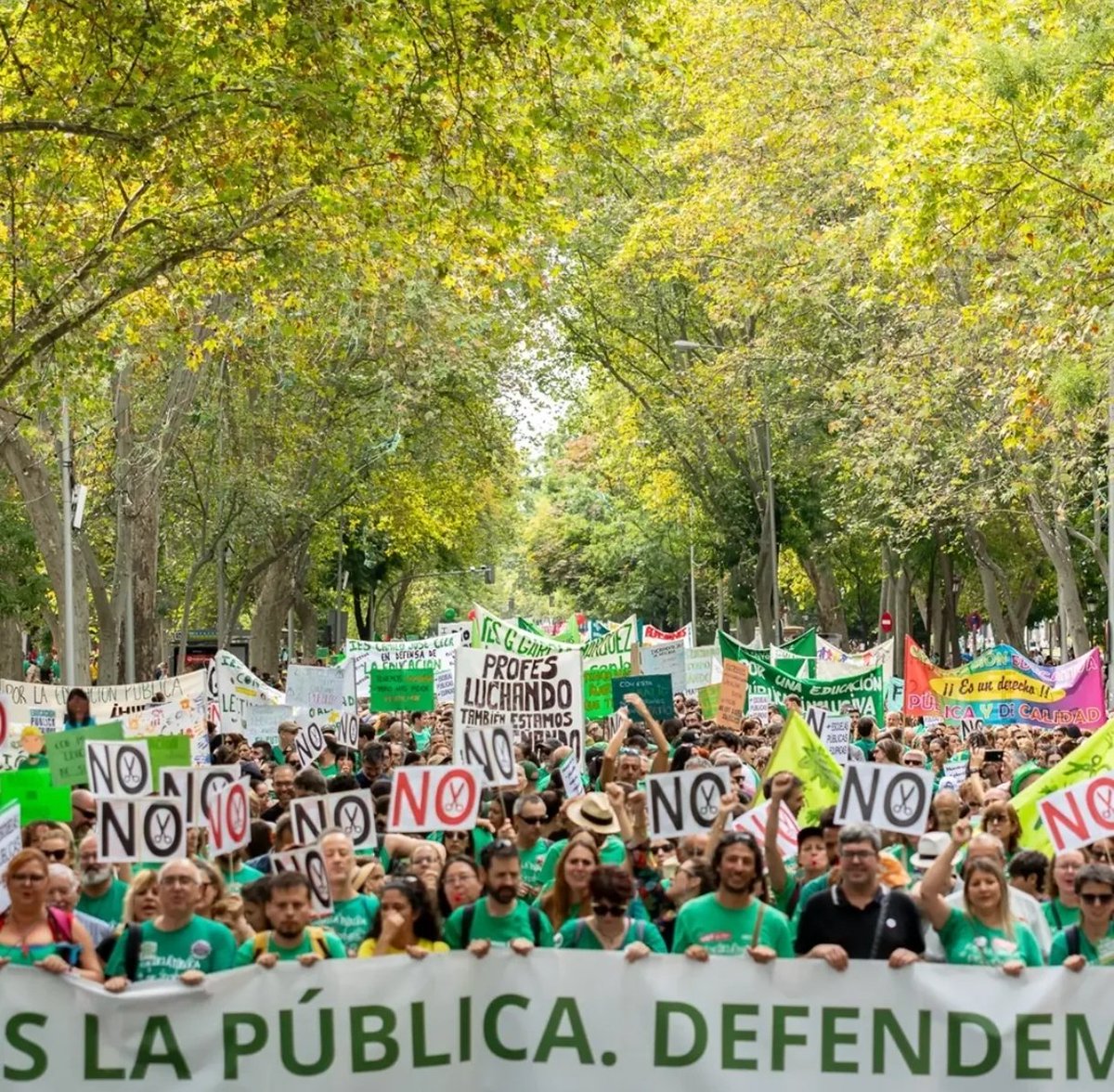 Menoslectivas tweet picture
