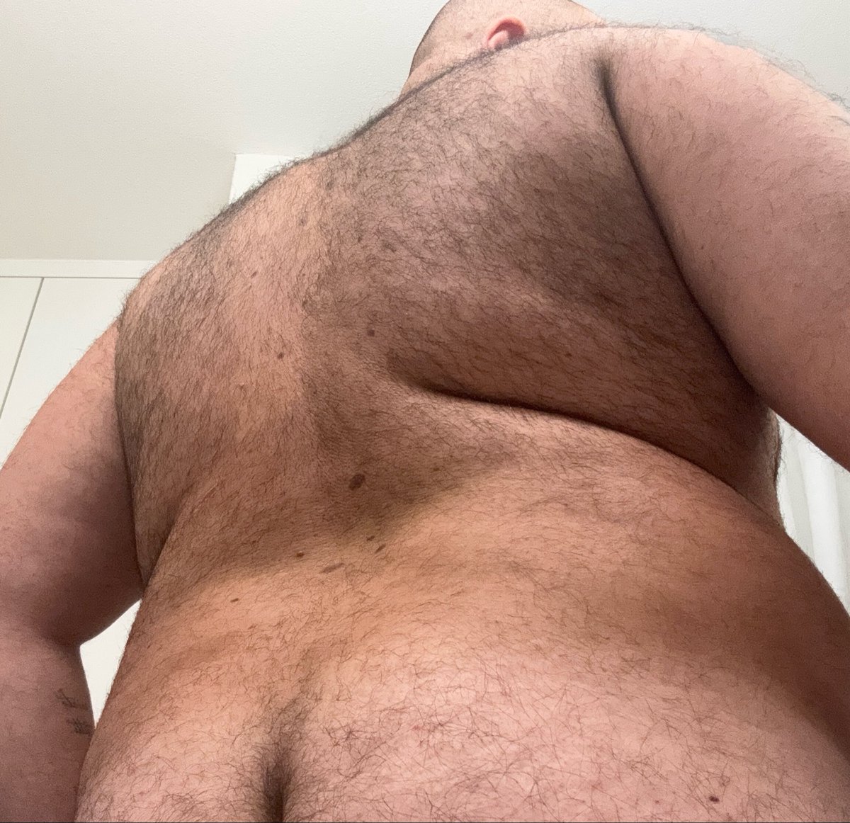 Virtus90X's tweet photo. 🐻 https://t.co/KasO2ertKV