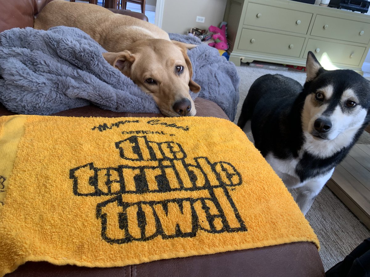 TracyButlerABC7's tweet photo. OH MY GOSH….#STEELERS https://t.co/gOHrrDChSJ