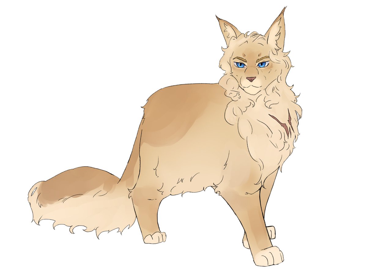 murzim_star's tweet photo. Here are Lionmane (warrior) and Eelstrike (elder) !

(From Fleur's clan !) https://t.co/6XA3k8Eg44