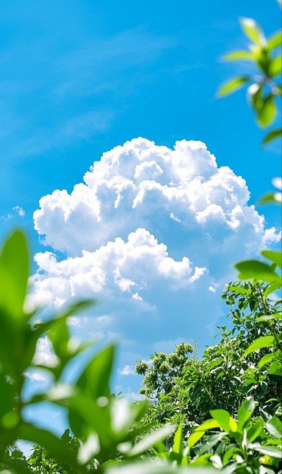 arceliapail0nn's tweet photo. Hoy me tomé 10 minutos solo para mirar el cielo, y me sentí lleno de paz. https://t.co/gAWBLT4O2B