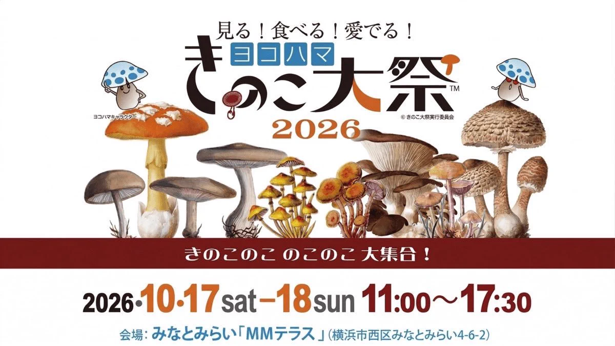 クレイマン本日AnythingGoesMarket3 on X: 