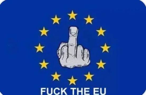 zot987's tweet photo. I'm Italian, the EU is my enemy

ITALEXIT https://t.co/QP2pdjeMF6