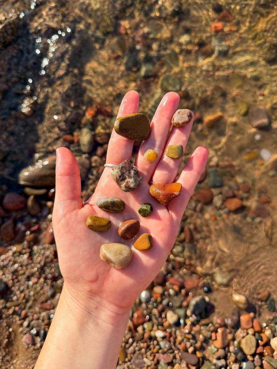 WUIW's tweet photo. Nature’s Scrapbook 🍂

The Salt River has its own way of capturing the colors of the season. Smooth stones, pebbles, and river rocks, shaped by the current and polished by time.

Each one tells a story of water, time, and the landscape around it. A beautiful reminder that some of Arizona’s best seasonal colors can be found right beneath our feet.

📷️ : https://t.co/QjuX0kJFU7

#WaterUseItWisely #SmartWaterUse