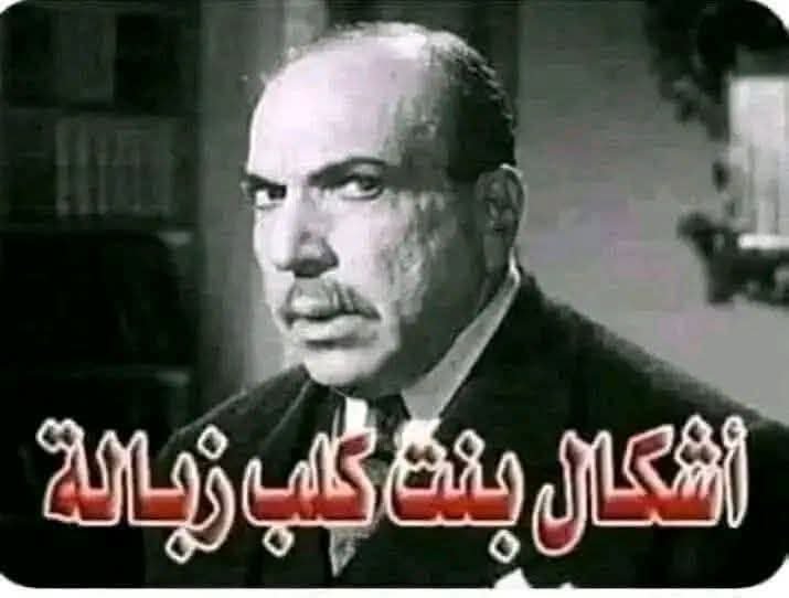 YouG146174's tweet photo. @Stupid_feminis شراميط https://t.co/hr8xTshaaF