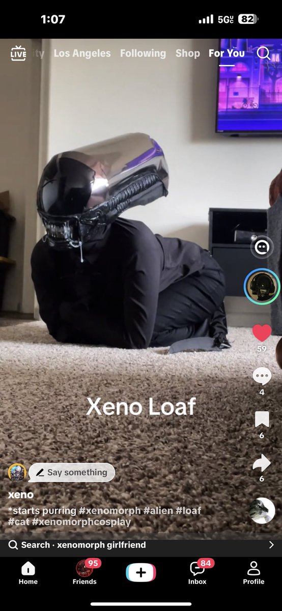 AVPAlo's tweet photo. Brilliant things happening on TikTok https://t.co/Zo8B9rlxJe