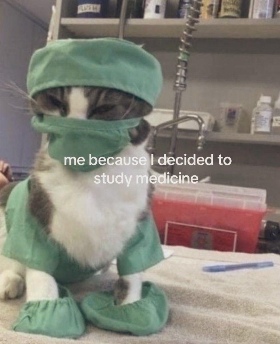 noorllightbae's tweet photo. no one knows about so many important things about our bodies that I’ve learned as a nurse and medical student

𐙚⋆.˚  a thread for #edrtwt https://t.co/OrjYokrhsF