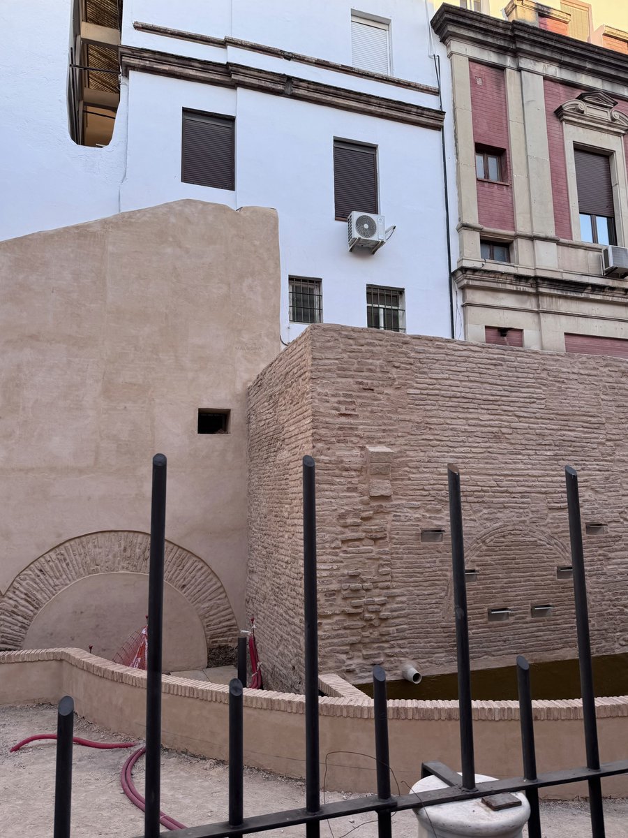 mald0nati's tweet photo. Poco a poco el Jardín Americano del CSIC, va cogiendo forma. En pleno corazón de Sevilla entre las calles Alfonso XII y Santa Vicenta María, el jardín será un lugar para el estudio de la vegetación hispanoamericana. https://t.co/i8hftvFPvV