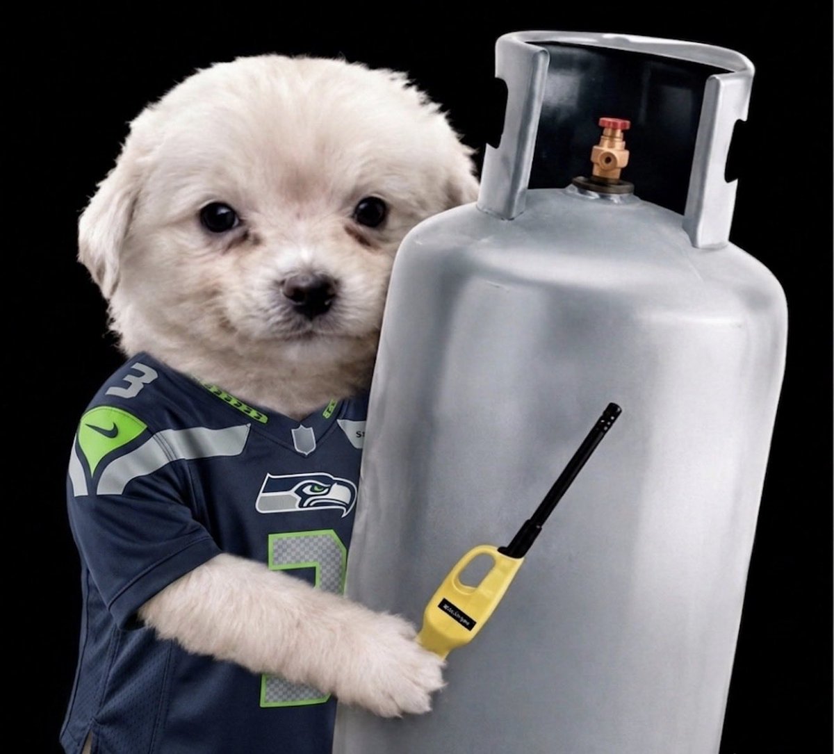 SeahawkGoon's tweet photo. wtf did I just watch https://t.co/tFEm598ug1