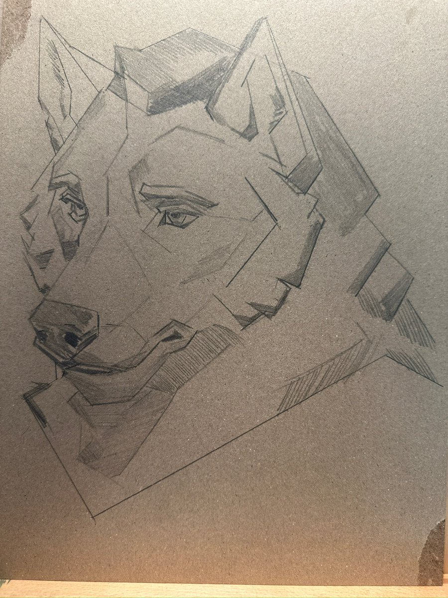 TechDumpling's tweet photo. Monday faced canines https://t.co/enBkQqvaor