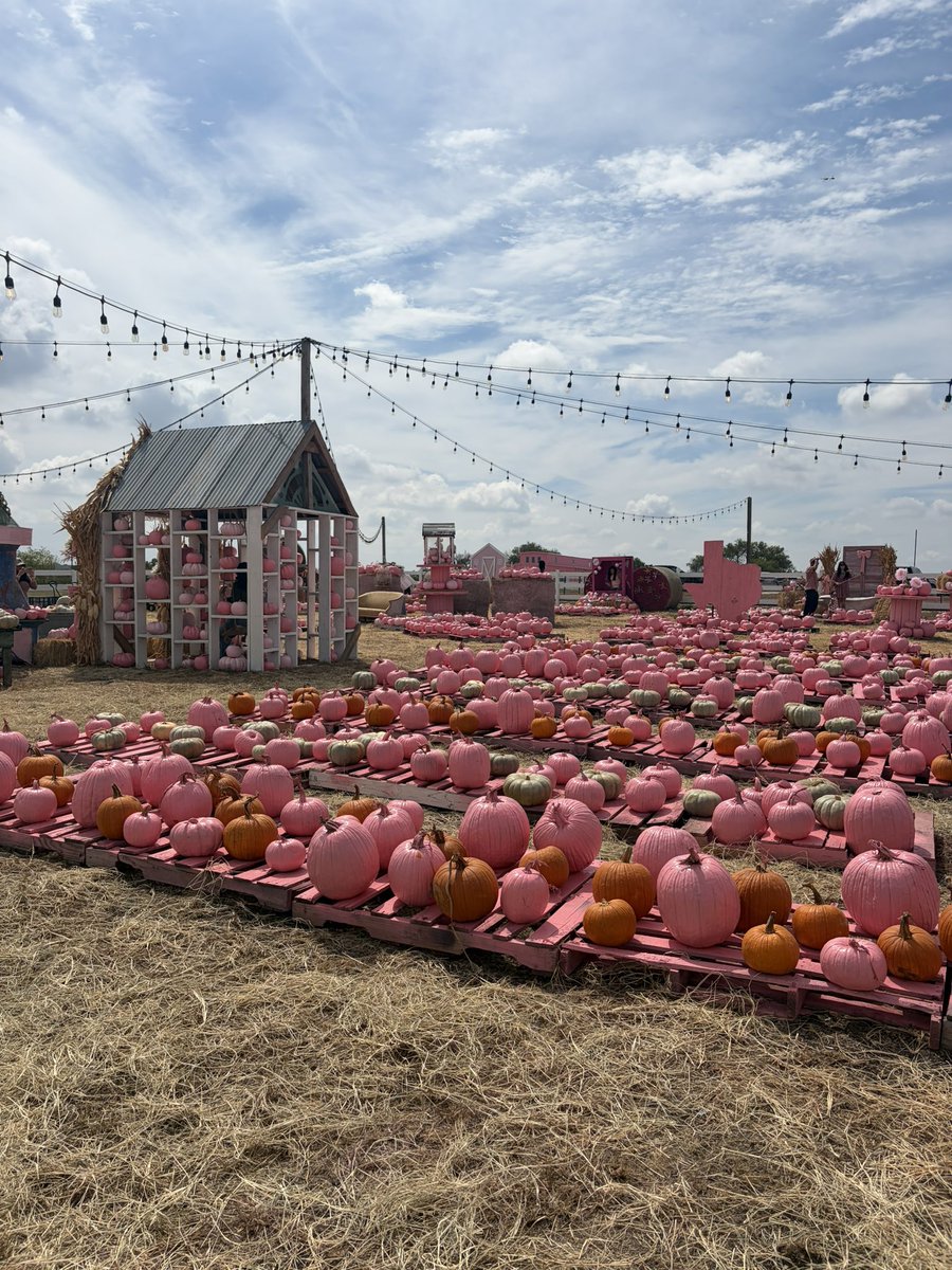 ChellezSoFly's tweet photo. A little pink makes everything more fun! #Hotumn #FallYall https://t.co/a2esv0V5N3