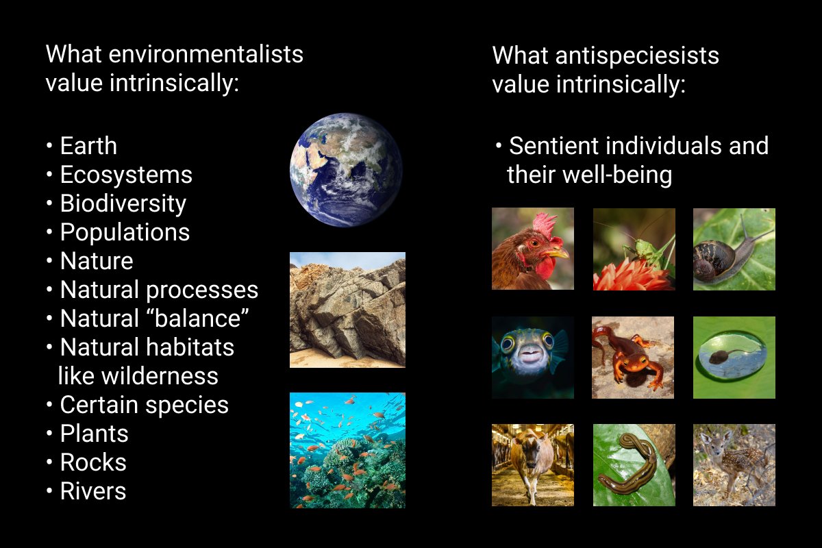 JaiBodhi's tweet photo. Seen in r/StopSpeciesism https://t.co/PZ56rdJD7D