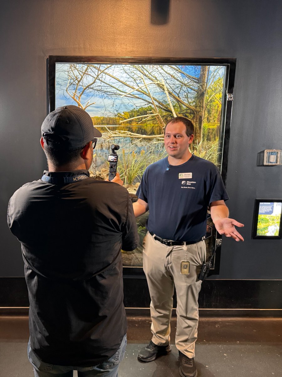 houstonzoo's tweet photo. Lights, camera, Zoo! 🎥🐾 @KPRC2  Houston Life brought its entire 1–2 p.m. show to the Zoo for a fun, behind-the-scenes look at all there is to experienc at Zoo Boo.   👉 https://t.co/ZT8SD13I4U https://t.co/r2gMwvLps7