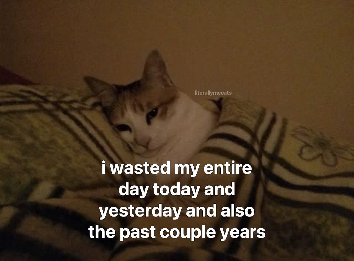 literallymecats's tweet photo. https://t.co/DagnVFKyBU
