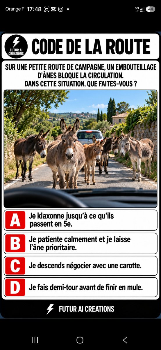 Benjamin_Sibuet's tweet photo. 🚗⚠️ CODE DE LA ROUTE
Petite route de campagne… et soudain, un véritable embouteillage d’ânes 🫏😂
Dans cette situation, vous faites quoi ?
#CodeDeLaRoute #Humour #Ane #Campagne #Quiz https://t.co/1Ng1LFT6CR