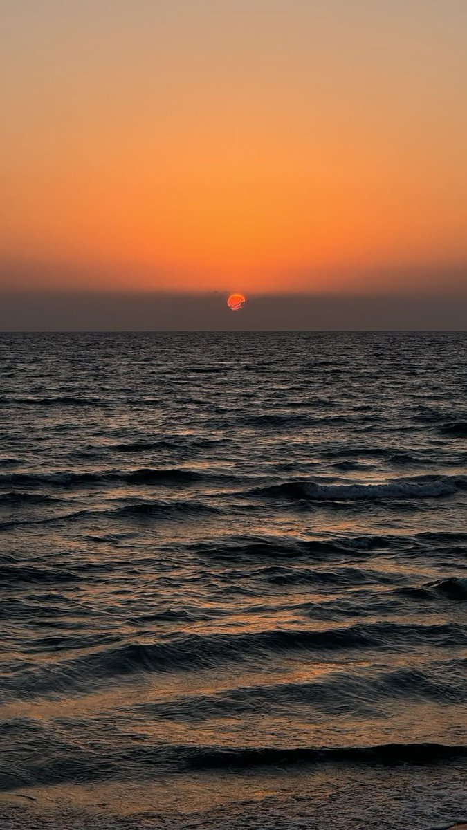 purelivn's tweet photo. sunset https://t.co/JxiOfZ2iCb