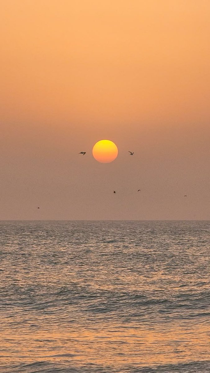 purelivn's tweet photo. sunset https://t.co/JxiOfZ2iCb
