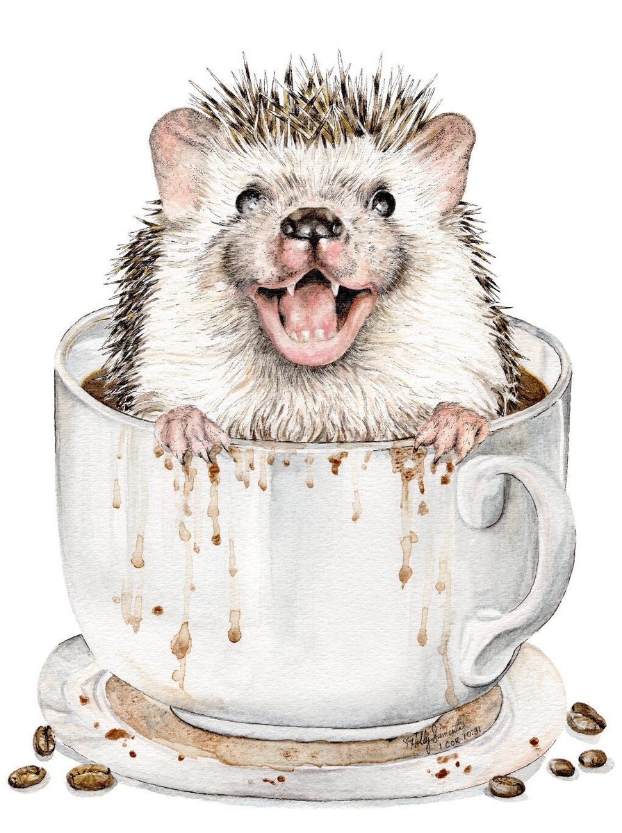 HollySimental's tweet photo. Coffee Hog signed prints, posters, and cards in my #etsy shop. https://t.co/wyBnxzHd4Y also available #wholesale at #faire https://t.co/AUz7a7Bpko #hedgehog #animal #coffee #coffeelover #coffeeshop #gift #giftideas #gifts #giftshop #bookstore #wildlife #whimsical #hollysimental https://t.co/ILyBy2XuYj